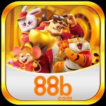 55d-br.com